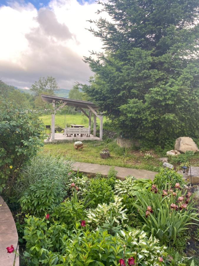 Holiday Home Usadba Novoselitsa Εξωτερικό φωτογραφία