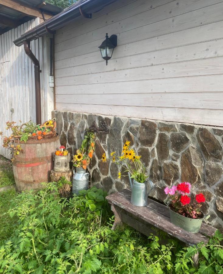 Holiday Home Usadba Novoselitsa Εξωτερικό φωτογραφία