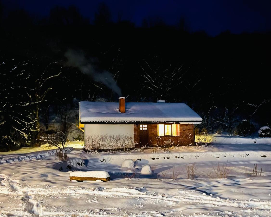 Holiday Home Usadba Novoselitsa Εξωτερικό φωτογραφία