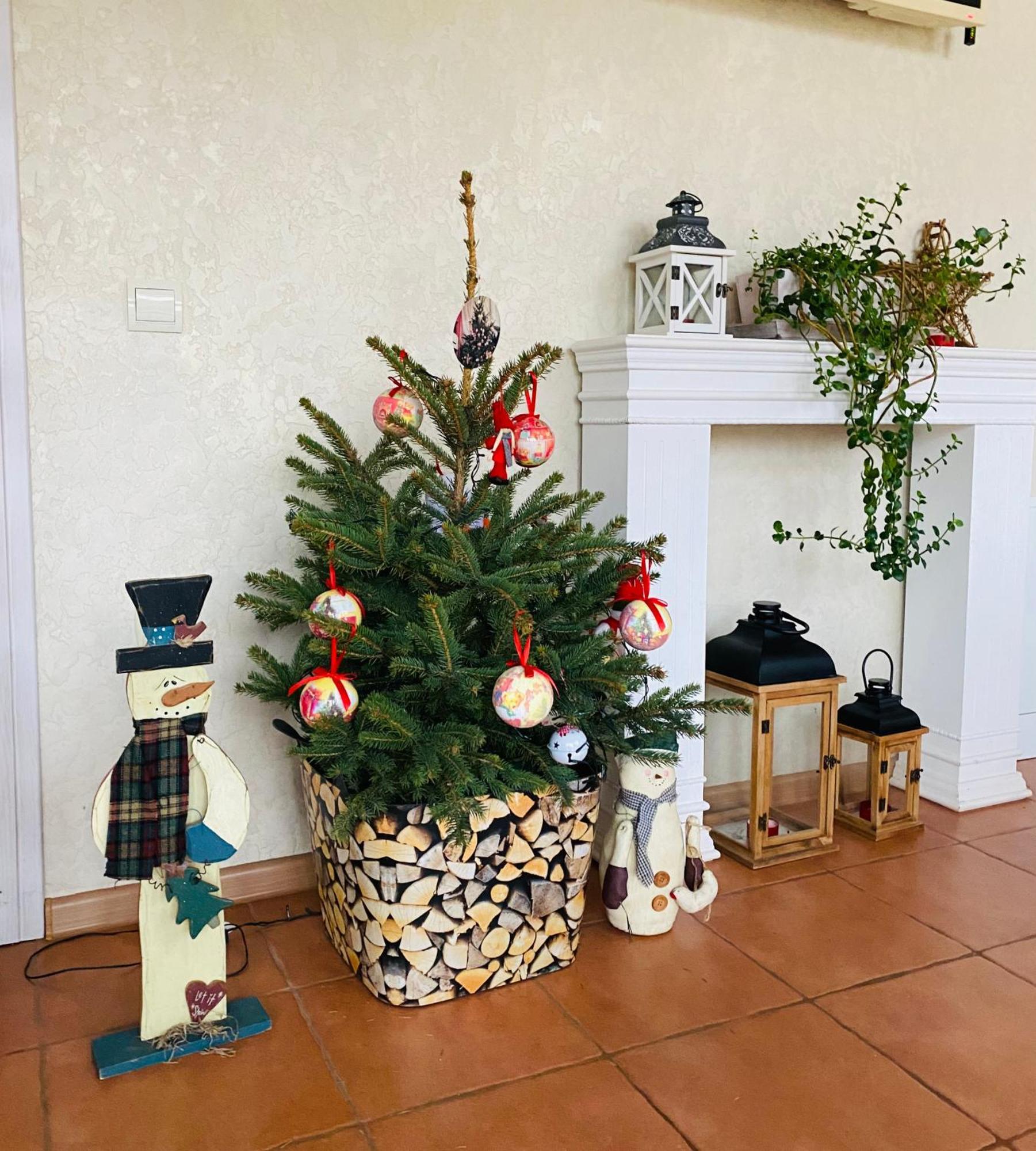 Holiday Home Usadba Novoselitsa Εξωτερικό φωτογραφία