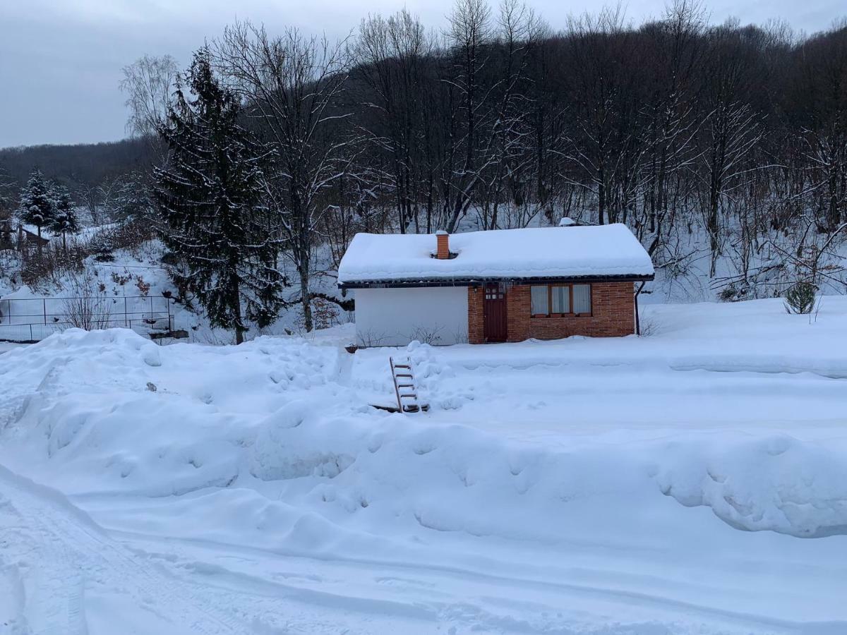 Holiday Home Usadba Novoselitsa Εξωτερικό φωτογραφία